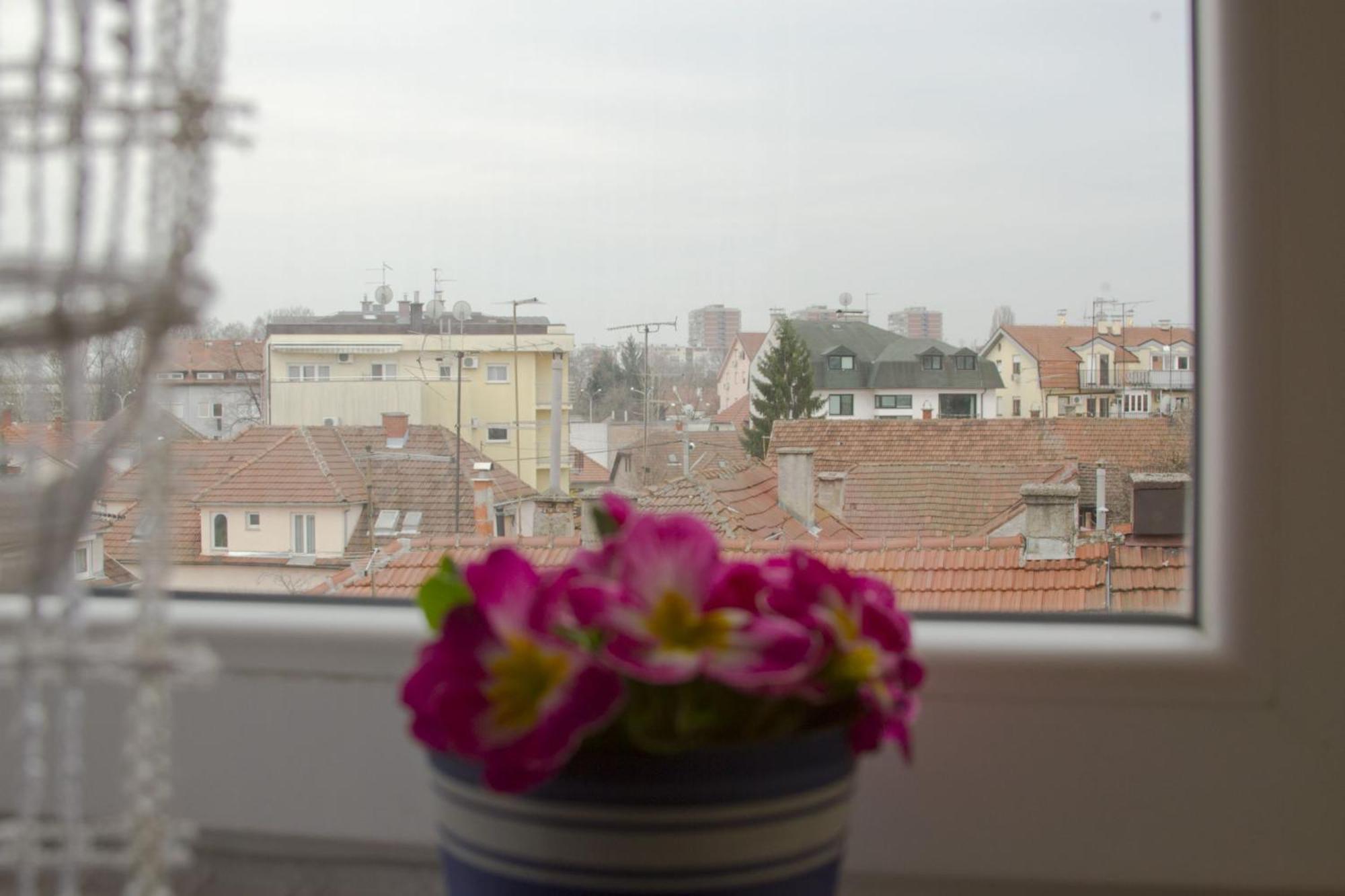 Apartmani Nighty Night Zagreb Cameră foto